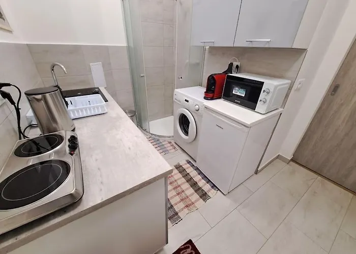 Flat Near The Vysehrad Castle Διαμέρισμα Πράγα