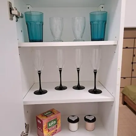 公寓 Flat Near The Vysehrad Castle 布拉格