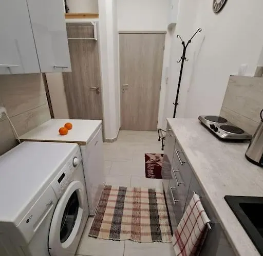 Flat Near The Vysehrad Castle * プラハ