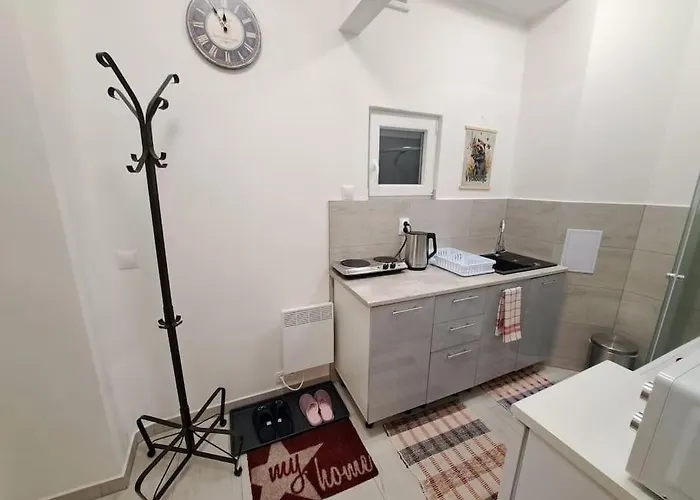 Flat Near The Vysehrad Castle * プラハ