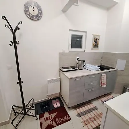 Flat Near The Vysehrad Castle * براغ